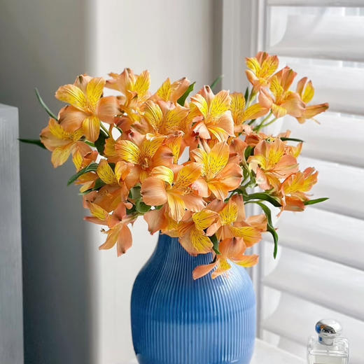 【AB级橙色水仙百合】10支/份 商品图0