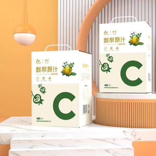 册亨县 册亨优选 刺梨原液家庭装2L 商品图0