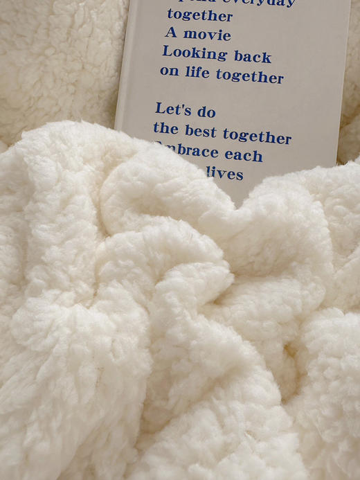 【软糯温暖】秋冬加厚ins韩系羊羔绒+牛奶绒四件套冬学生宿舍床牛奶绒三件套 商品图9