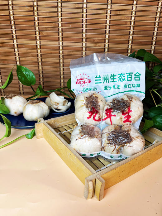 良食本事｜兰州生态百合 9年（1斤/包） 商品图1