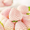（分两个包裹发货）水果组合（白草莓+车厘子）【5.0】 商品缩略图1