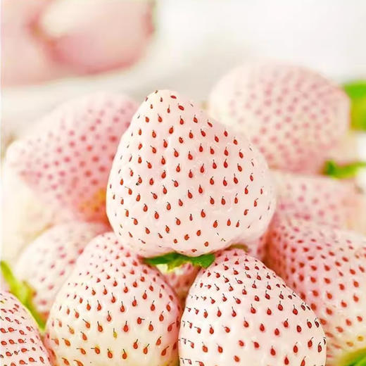 （分两个包裹发货）水果组合（白草莓+车厘子）【5.0】 商品图1
