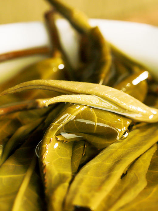 新品上新重磅力作【霸王青饼】2024年布朗山古树春茶，专为老茶油制作，重口味产品 极具辨识度！357g/饼 拍5发6拍20发25 商品图4