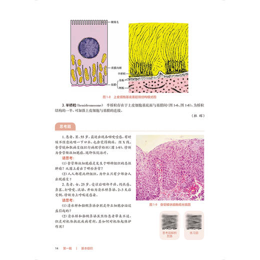 正常人体结构 第5版 十四五规划教材 全国高等职业教育专科教材 供护理助产专业用 高洪泉 何世洪编 人民卫生出版社9787117367349 商品图4