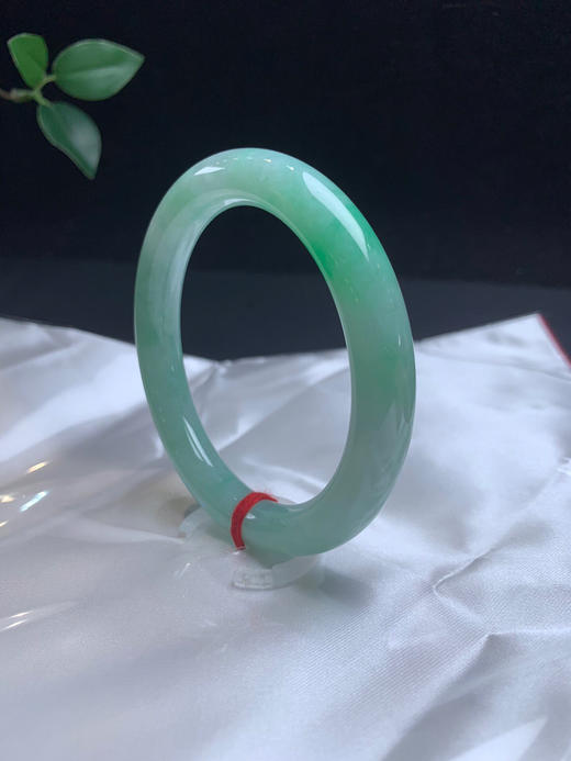 611703，55.8飘绿细圆条，9.7mm，满圈带绿底色 商品图2