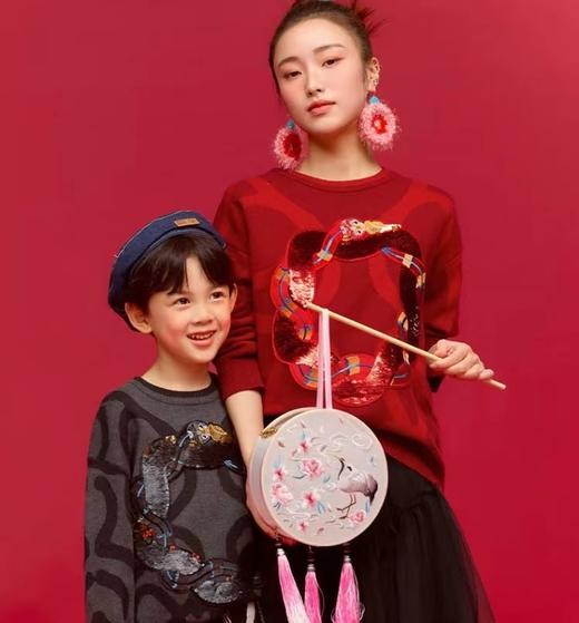 (包邮)年衣 成人款毛衣 /马甲（多种颜色） 商品图2