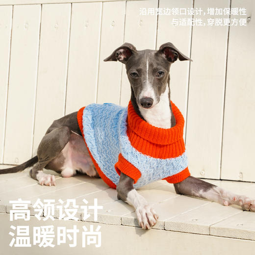 zeze撞色绞花宠物针织衫-B 商品图2