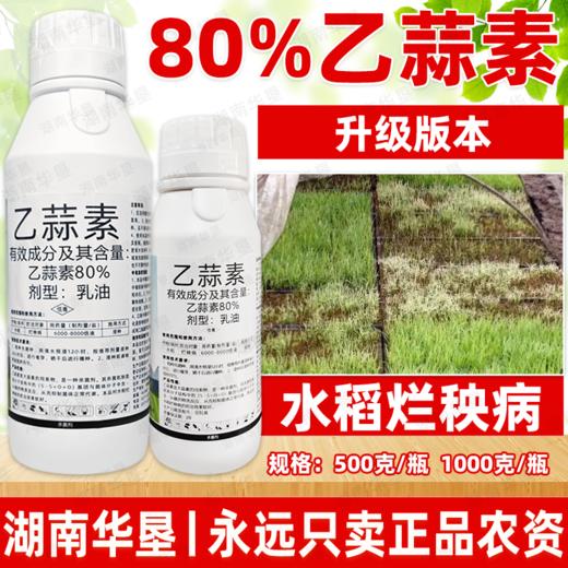 80%乙蒜素升级版杀菌剂水稻大田作物烂秧病专用浸种杀菌剂农用 商品图1