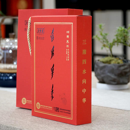 女书湖南黑茶1KG手筑茯砖茶2024年 晋丰厚百年老茶号 安化黑茶 商品图1