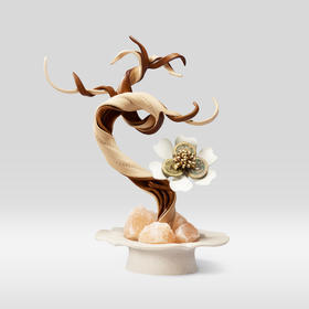 有钱花 纳财盆景