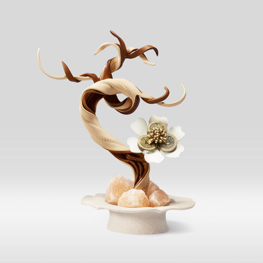 有钱花 纳财盆景 商品图0