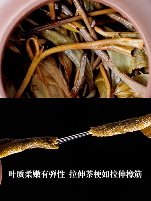 【618开门红】【冰岛橡筋】2023年头春头采，冰岛野放高杆古茶，拉伸茶梗如拉伸橡筋，稀少且珍贵；357g/饼 拍5发6拍20发25 商品图2