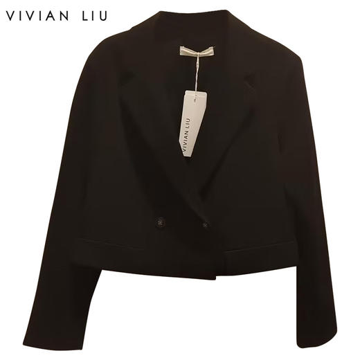 VIVIAN LIU R2413108梅春女装新款翻领双排一粒扣短款西装 商品图0