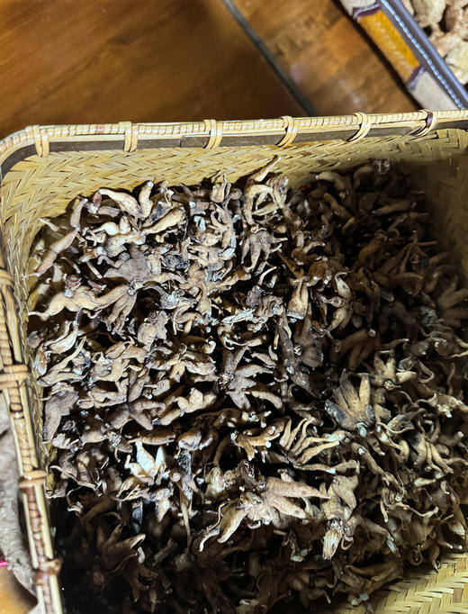 今年新出的西藏不老草，林芝野生手掌参干参 商品图7