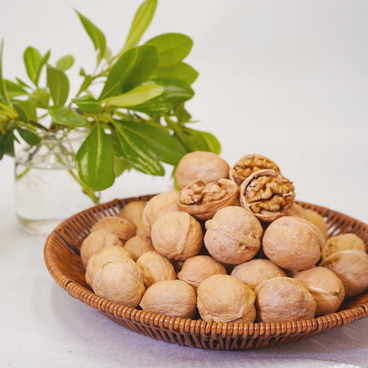 【新疆】薄皮核桃 原色原香（260克*3包） 商品图1