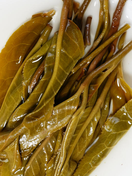 【618开门红】【冰岛橡筋】2023年头春头采，冰岛野放高杆古茶，拉伸茶梗如拉伸橡筋，稀少且珍贵；357g/饼 拍5发6拍20发25 商品图5