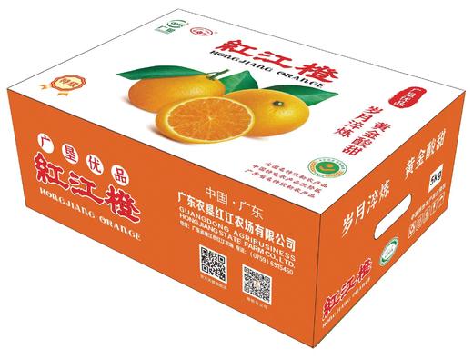 L红江橙（特级）5kg 商品图1