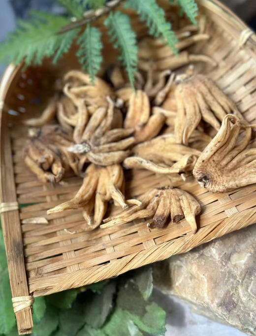 今年新出的西藏不老草，林芝野生手掌参干参 商品图8