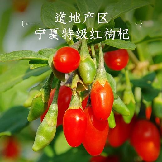 童涵春堂宁夏红枸杞大颗特级-120g 商品图1