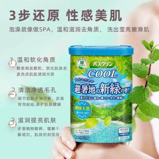 【跨境】Bathclin/巴斯克林浴盐泡澡足浴粉入浴剂清凉避暑胜地清新香草600g 商品图2