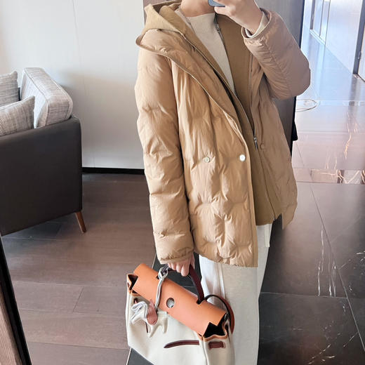 2411512    气质羽绒服 鹅绒填充 商品图4
