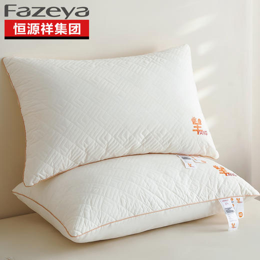 Fazeya彩羊A类全棉抑菌水洗枕（单个）【分仓直发，72小时发货，周末节假日不发货】 商品图0
