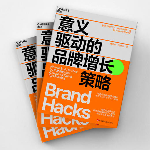 意义驱动的品牌增长策略   唯有意义才值得持久追随 商品图3