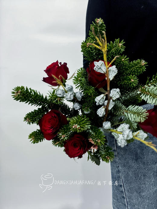 【圣诞颂歌】诺贝松5小支（侧枝）+红玫瑰5支+尤加利果2小支 商品图3