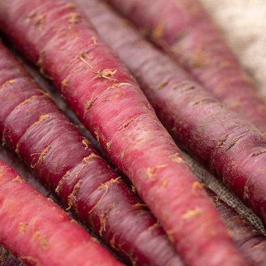 【2025新上市】云南高原脆爽有机紫胡萝卜 清甜脆口3斤装 商品图1