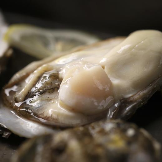 【分仓直发包邮】乳山生蚝5斤（冻坏不售后）（4-6两/个）约9-11只 商品图4