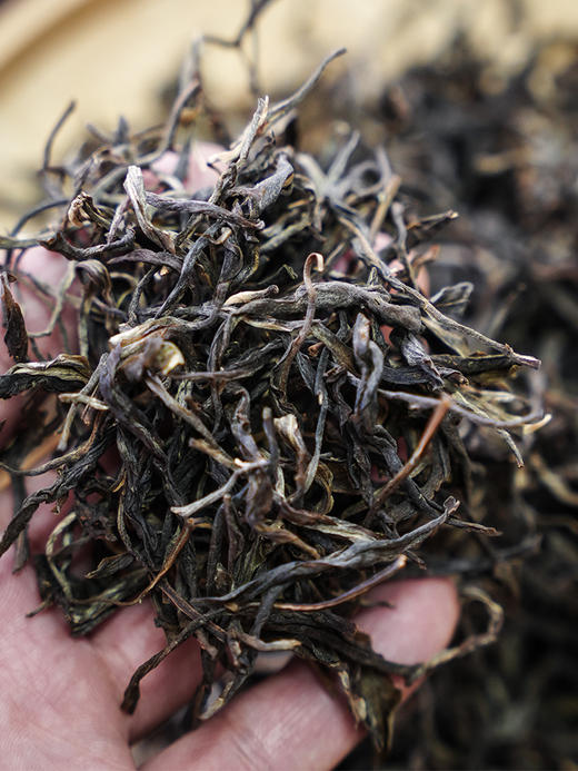 新品上新【困鹿山散茶】2020年头春困鹿山古茶园核心茶地大古树鲜叶，26号茶农李应芝家大古树茶，250克/罐 拍5罐发6罐 商品图5