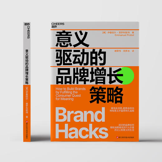 意义驱动的品牌增长策略   唯有意义才值得持久追随 商品图2