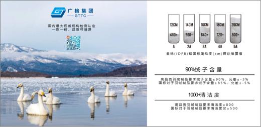 佐丹奴女装三层5A鹅绒羽绒外套05374639 商品图3