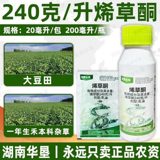 圣鹏金锄240克/升烯草酮除牛筋草狗尾巴草一年生禾本科杂草除草剂 商品图3
