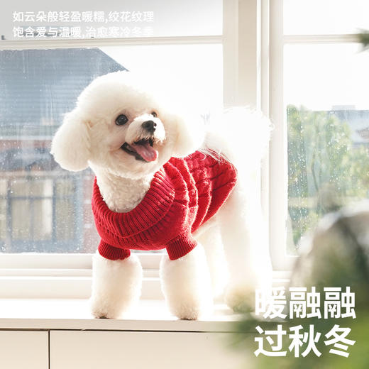 zeze绞花针织毛衣-B 商品图2