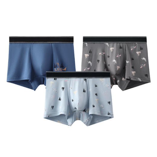 芬腾内裤男士棉质抗菌平角四角裤头舒适加大码青少年潮裤男款短裤 商品图4