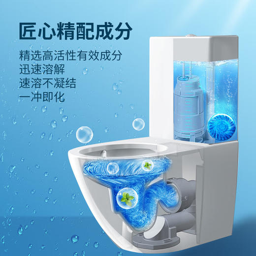 【分仓直发包邮】绿之源蓝泡泡洁厕宝清香型洁厕块50g*12个装 （Z-5977） 商品图3
