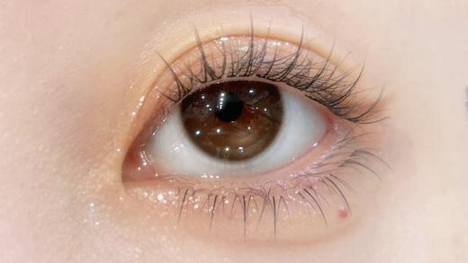 Chonos品牌日抛-暮色水光（10片/盒） 商品图5