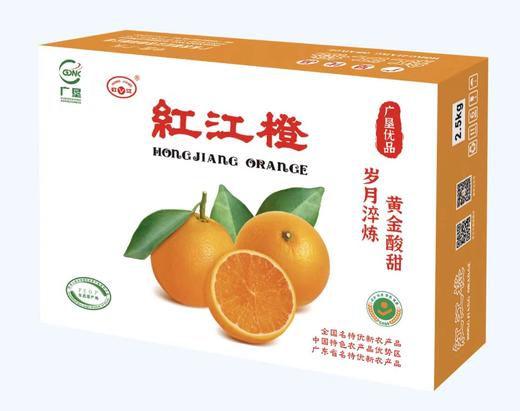 L红江橙（优级）5kg 商品图0