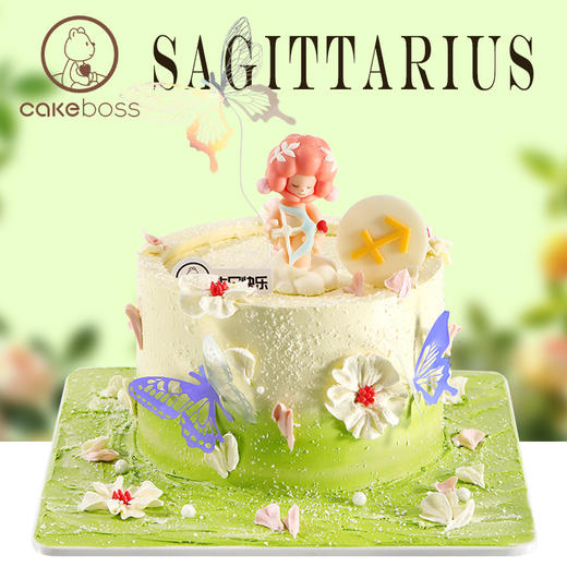 ♐射手座“蝴蝶山谷”生日蛋糕 商品图0