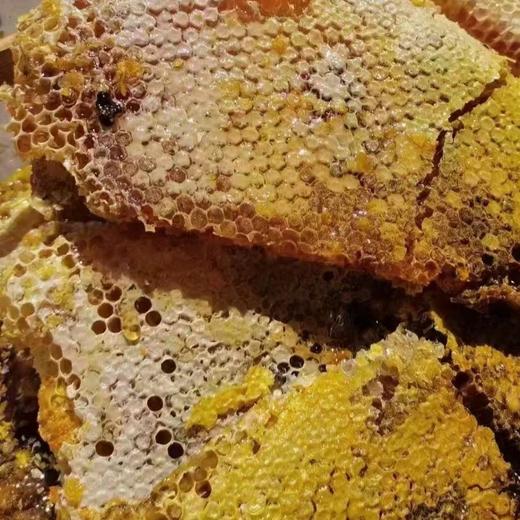 纯天然野生蜂蜜 500克/瓶 商品图2