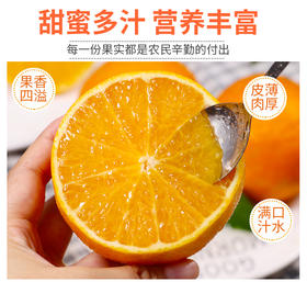 爱媛果冻橙：柑橘家族的 “甜蜜宝藏”！