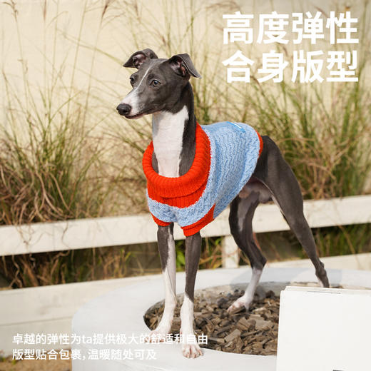 zeze撞色绞花宠物针织衫-B 商品图4