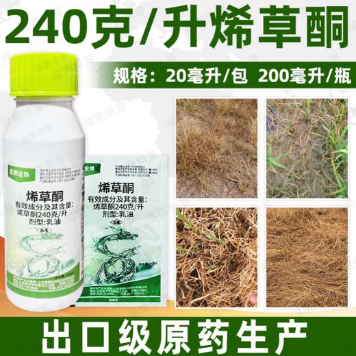 圣鹏金锄240克/升烯草酮除牛筋草狗尾巴草一年生禾本科杂草除草剂 商品图2