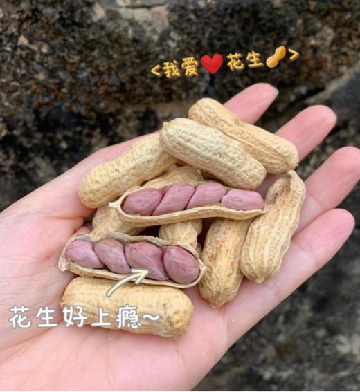 🌟【爆卖万单的超好吃的龙岩花生】🉐试一把正宗龙岩湿烤花生， 🌸这就是一个卖了🤩五年还一堆人天天复购👏的硬、脆、香花生 商品图2
