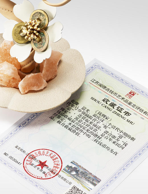 有钱花 纳财盆景 商品图3