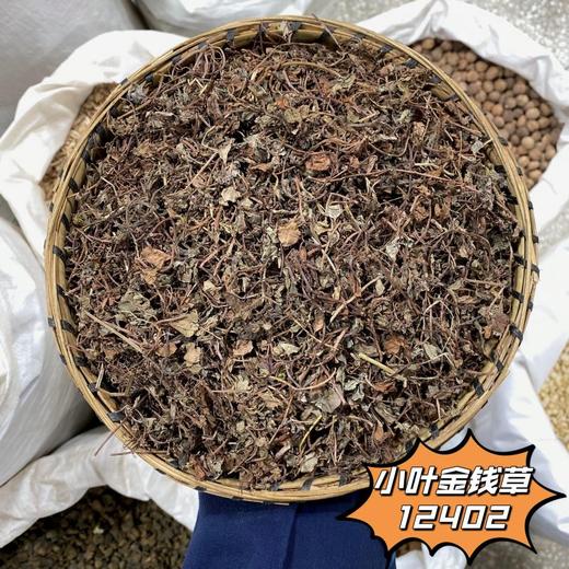 金钱草 常用规格 广金钱草 大叶金钱草 商品图1