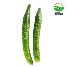 暖壹有机黄瓜（青皮）500g
