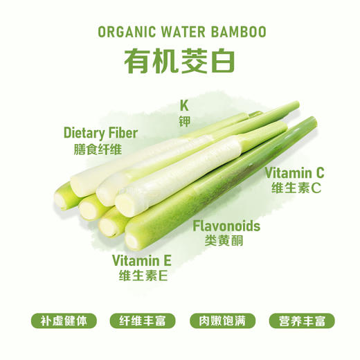 暖壹有机茭白500g 商品图1