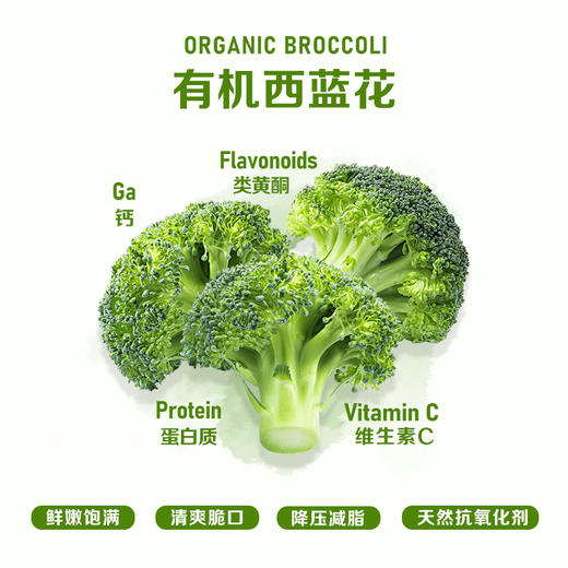 暖壹有机西蓝花500g 商品图0